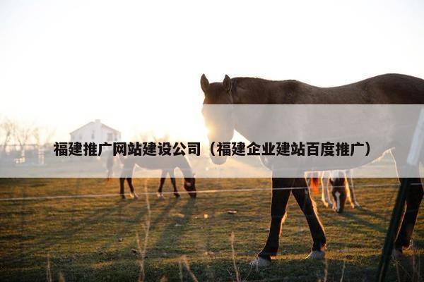 福建推广网站建设公司（福建企业建站百度推广）