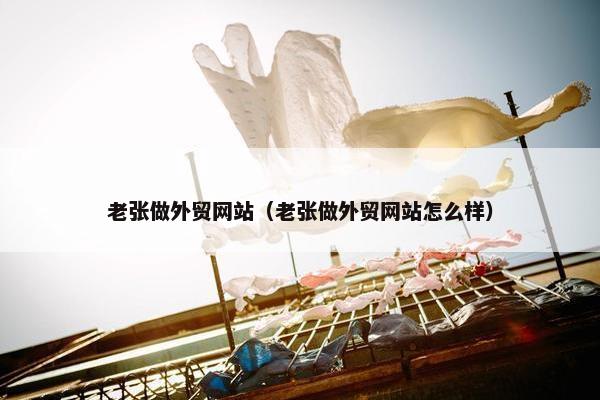 老张做外贸网站（老张做外贸网站怎么样）