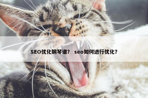 SEO优化钢琴谱？ seo如何进行优化？