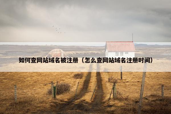 如何查网站域名被注册（怎么查网站域名注册时间）