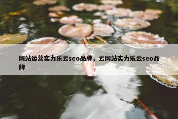 网站运营实力乐云seo品牌，云网站实力乐云seo品牌