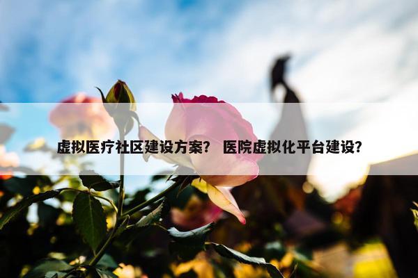 虚拟医疗社区建设方案？ 医院虚拟化平台建设？