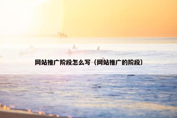 网站推广阶段怎么写（网站推广的阶段）