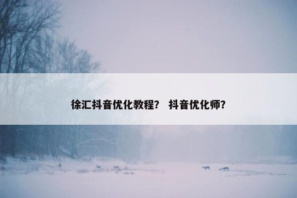 徐汇抖音优化教程？ 抖音优化师？