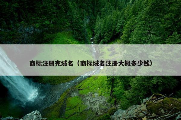 商标注册完域名（商标域名注册大概多少钱）
