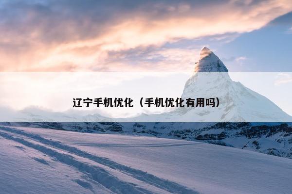 辽宁手机优化（手机优化有用吗）