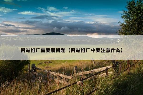 网站推广需要解问题（网站推广中要注意什么）