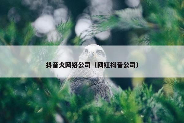 抖音火网络公司（网红抖音公司）