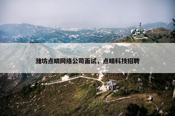 潍坊点晴网络公司面试，点睛科技招聘