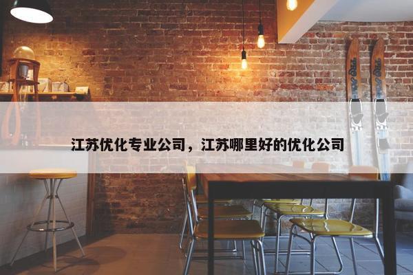 江苏优化专业公司，江苏哪里好的优化公司