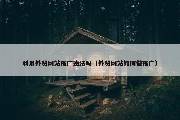 利用外贸网站推广违法吗（外贸网站如何做推广）