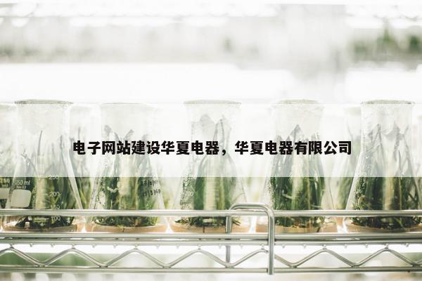 电子网站建设华夏电器，华夏电器有限公司