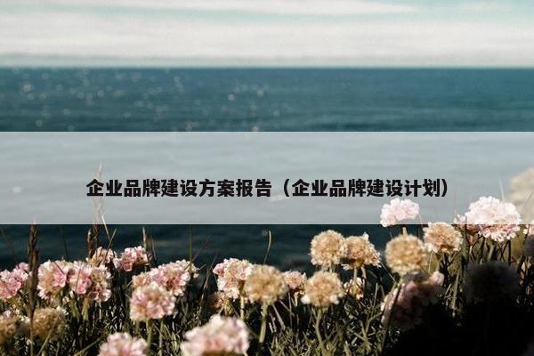 企业品牌建设方案报告（企业品牌建设计划）