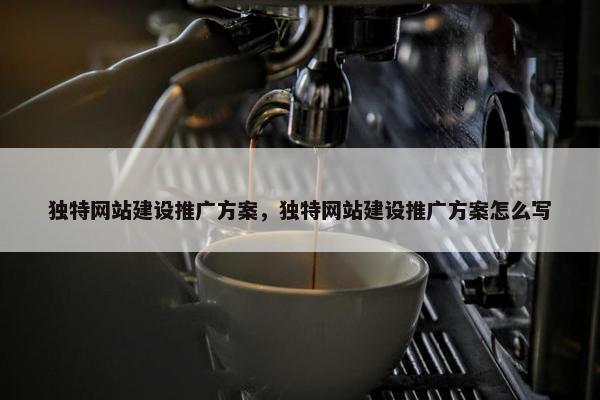 独特网站建设推广方案，独特网站建设推广方案怎么写