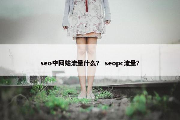 seo中网站流量什么？ seopc流量？