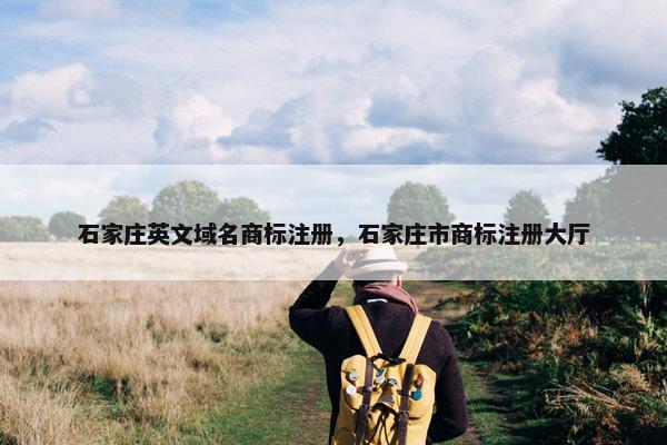 石家庄英文域名商标注册，石家庄市商标注册大厅