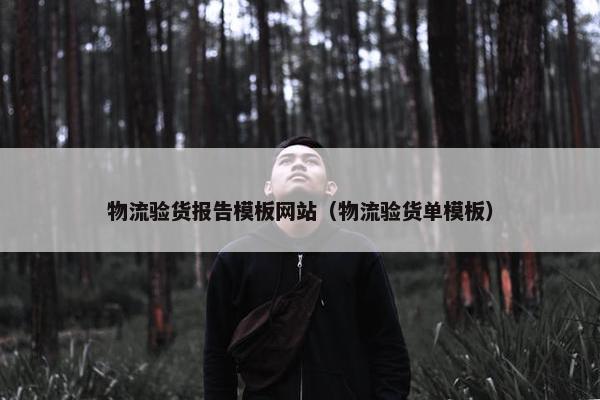 物流验货报告模板网站（物流验货单模板）
