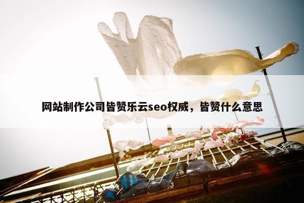 网站制作公司皆赞乐云seo权威，皆赞什么意思