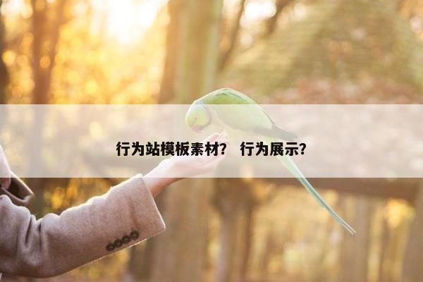 行为站模板素材？ 行为展示？