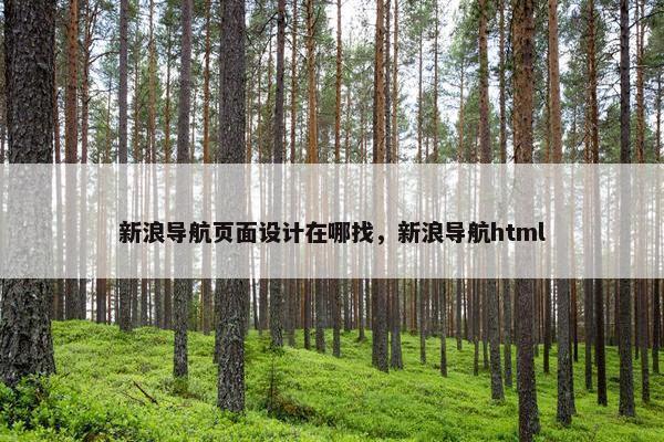 新浪导航页面设计在哪找，新浪导航html