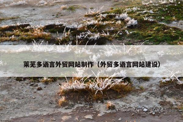 莱芜多语言外贸网站制作（外贸多语言网站建设）