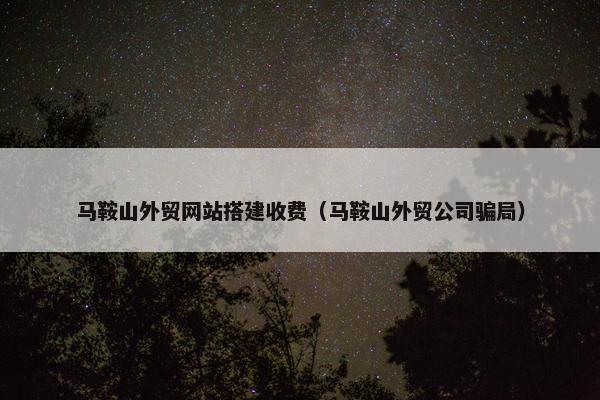 马鞍山外贸网站搭建收费（马鞍山外贸公司骗局）