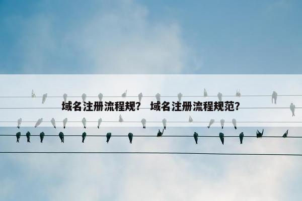 域名注册流程规？ 域名注册流程规范？