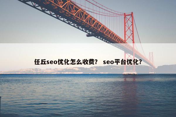 任丘seo优化怎么收费？ seo平台优化？