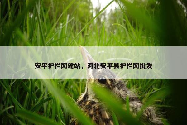 安平护栏网建站，河北安平县护栏网批发