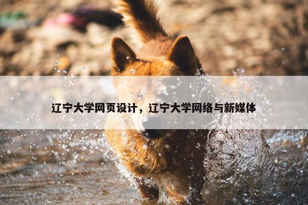 辽宁大学网页设计，辽宁大学网络与新媒体