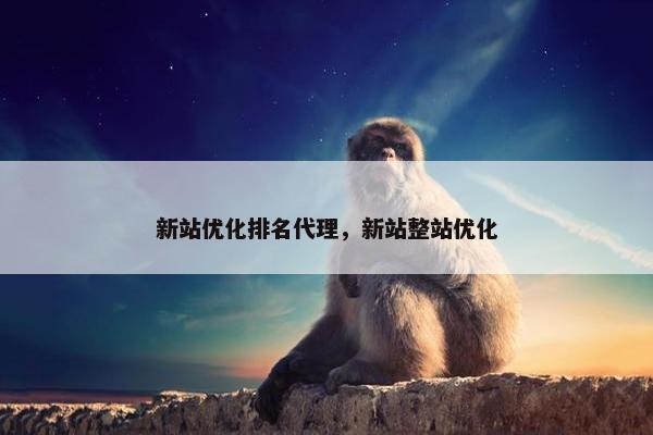 新站优化排名代理，新站整站优化