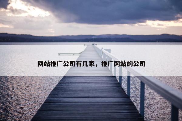 网站推广公司有几家，推广网站的公司