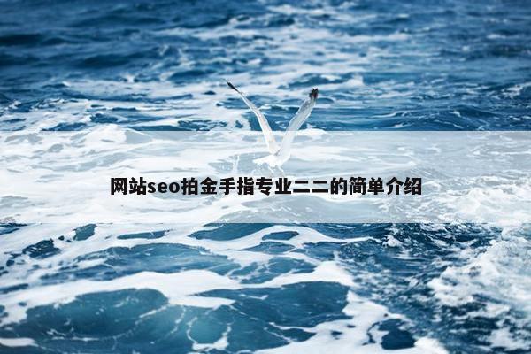 网站seo拍金手指专业二二的简单介绍