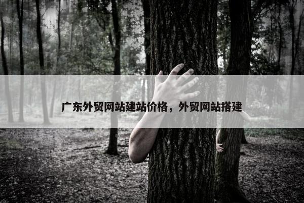 广东外贸网站建站价格，外贸网站搭建