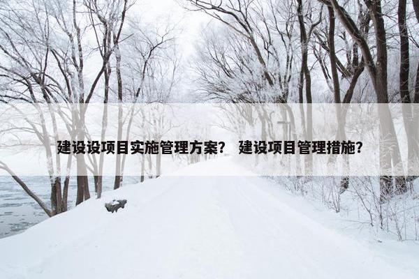 建设设项目实施管理方案？ 建设项目管理措施？