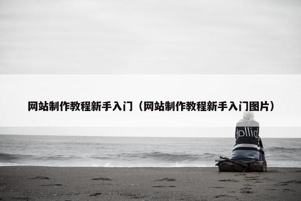 网站制作教程新手入门（网站制作教程新手入门图片）