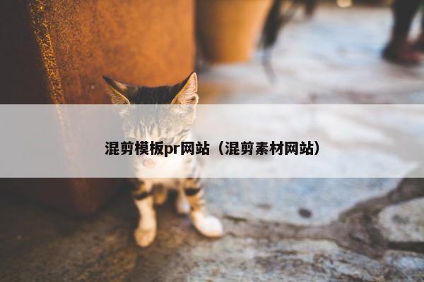 混剪模板pr网站（混剪素材网站）
