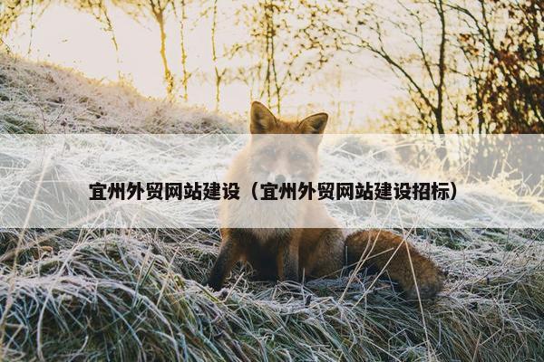 宜州外贸网站建设（宜州外贸网站建设招标）