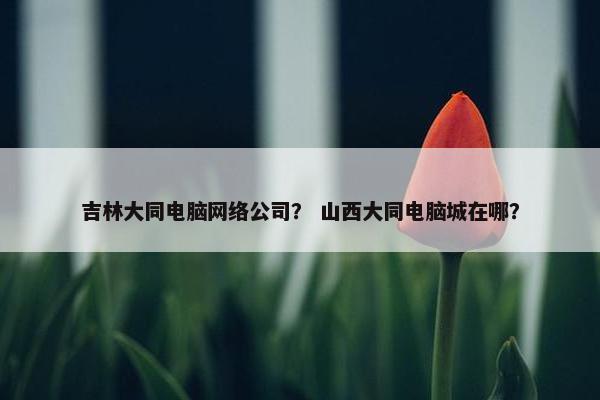 吉林大同电脑网络公司？ 山西大同电脑城在哪？