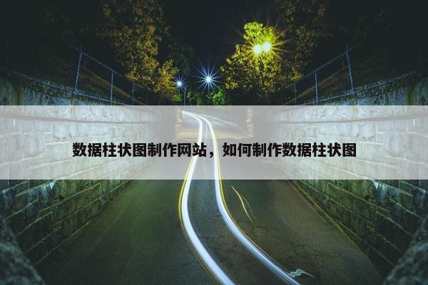 数据柱状图制作网站，如何制作数据柱状图