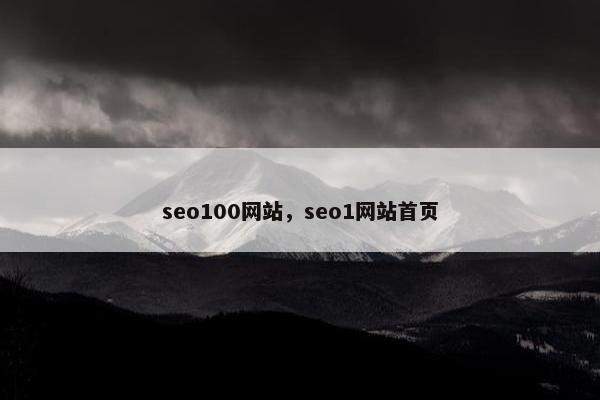 seo100网站，seo1网站首页