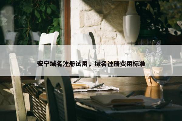 安宁域名注册试用，域名注册费用标准