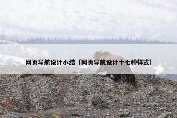 网页导航设计小结（网页导航设计十七种样式）