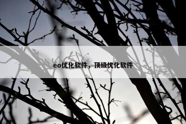 eo优化软件，顶级优化软件