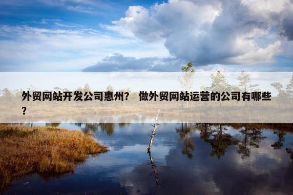 外贸网站开发公司惠州？ 做外贸网站运营的公司有哪些？
