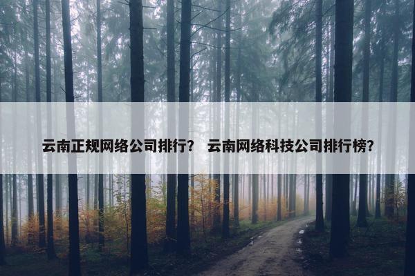 云南正规网络公司排行？ 云南网络科技公司排行榜？