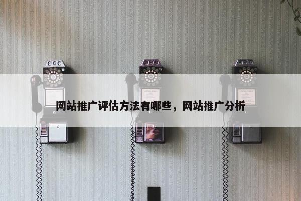 网站推广评估方法有哪些，网站推广分析