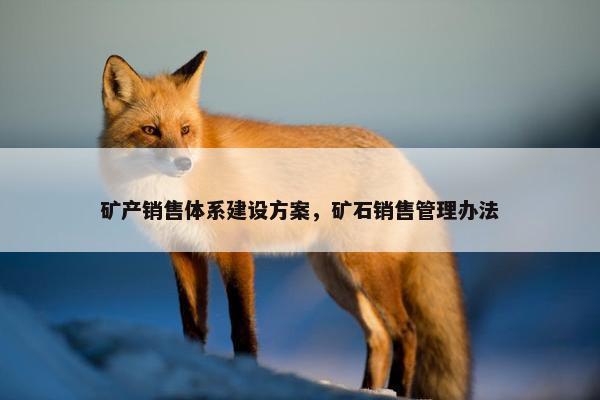 矿产销售体系建设方案，矿石销售管理办法