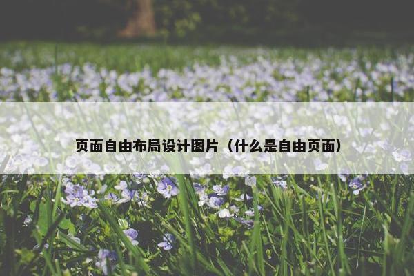 页面自由布局设计图片（什么是自由页面）