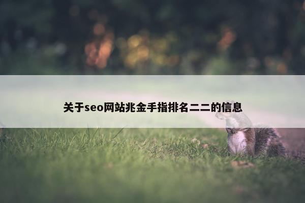 关于seo网站兆金手指排名二二的信息
